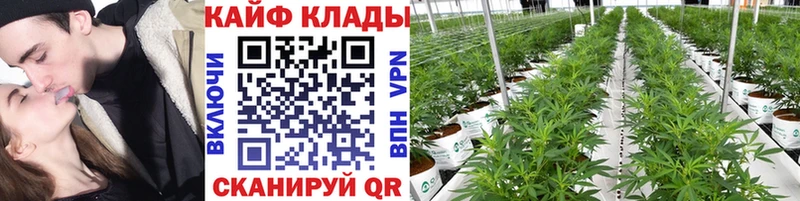 Магазины продажи наркотиков Верхоянск Гашиш  Меф 