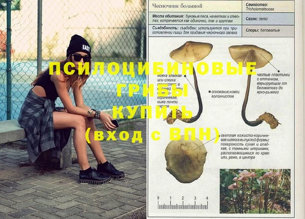 кокаин Алзамай