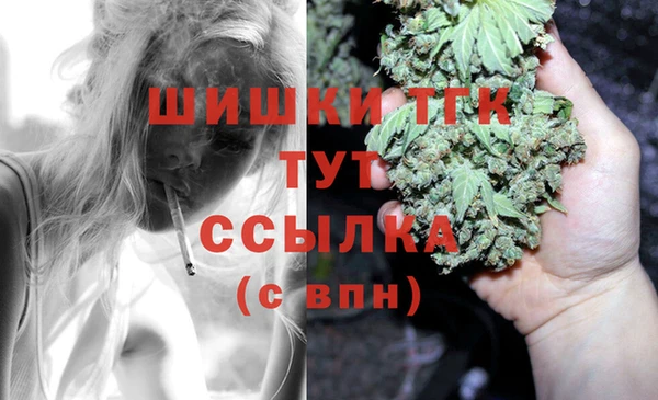стафф Алексин