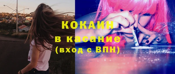 стафф Алексин
