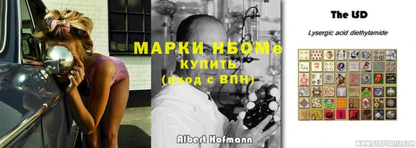 стафф Алексин
